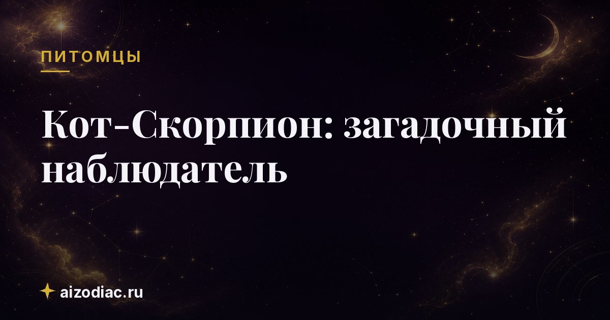 Кот-Скорпион: загадочный наблюдатель