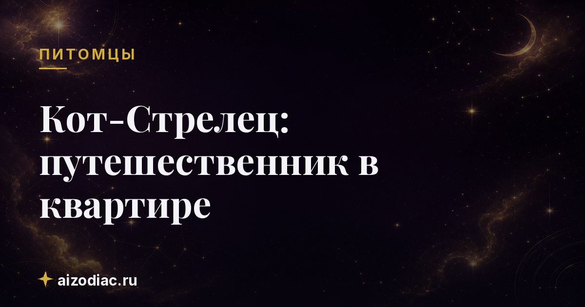 Кот-Стрелец: путешественник в квартире