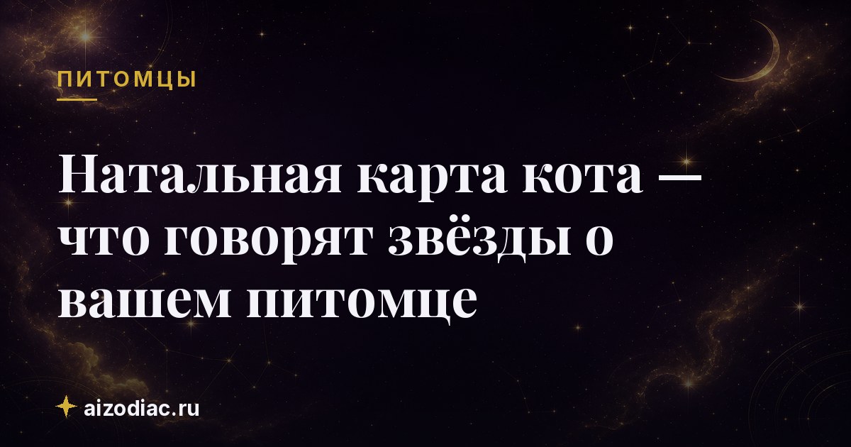 Натальная карта кота — что говорят звёзды о вашем питомце