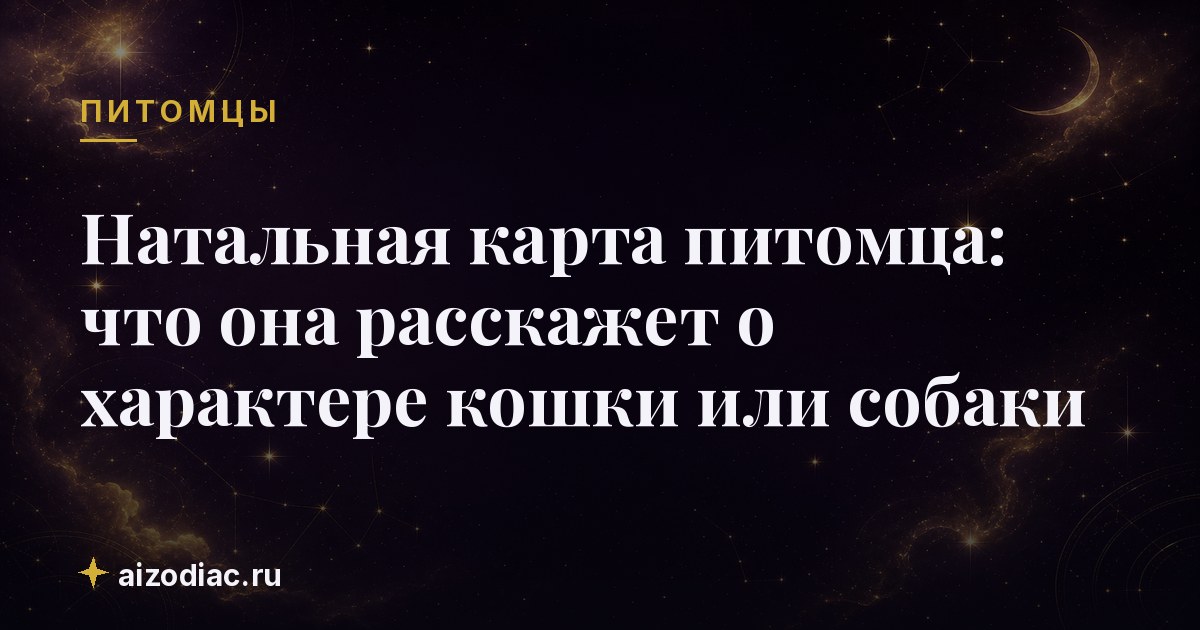 Натальная карта питомца: что она расскажет о характере кошки или собаки