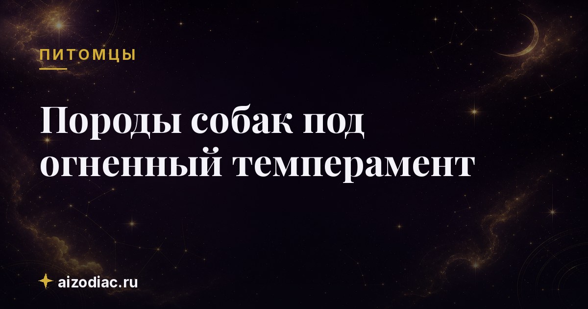 Породы собак под огненный темперамент